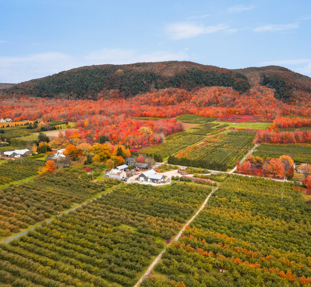 Jean-Bernard Hébert au théâtre